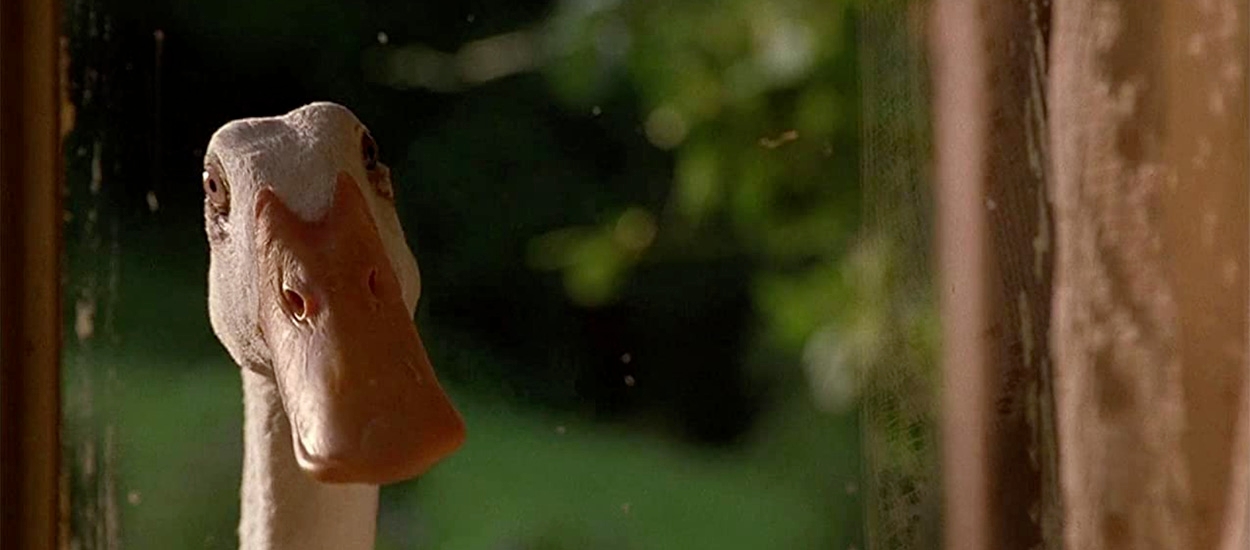 The Side Characters image