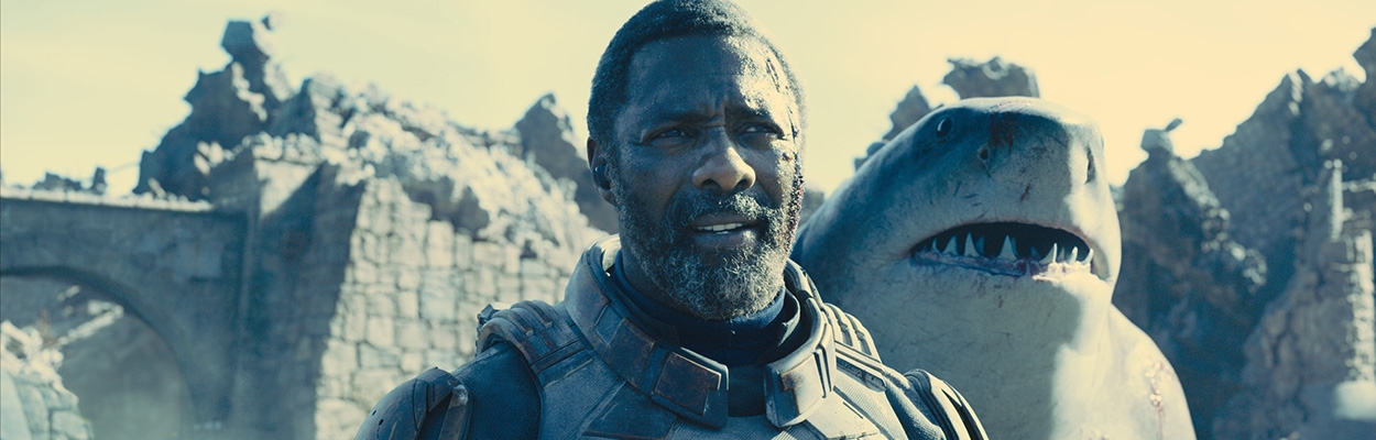 The Suicide Squad: Everything You Need to Know image