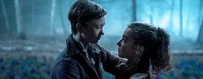 White Bird: An Inspirational Family Tale of WWII Resilience image