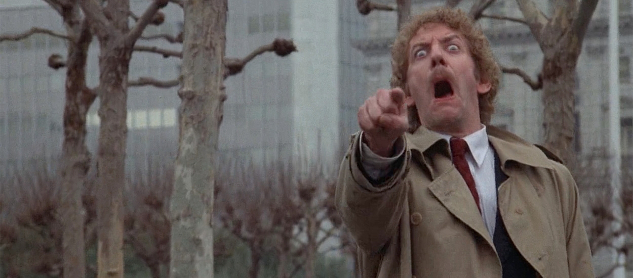 Invasion of the Body Snatchers (1978) image