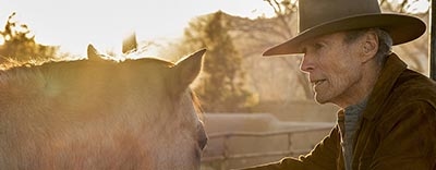 Cry Macho: Everything You Need To Know image