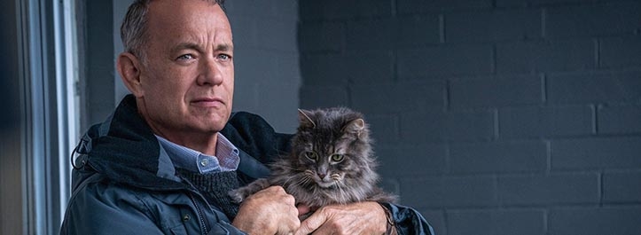 Tom Hanks Says A Man Called Otto Isn't Grumpy - He's Right! image